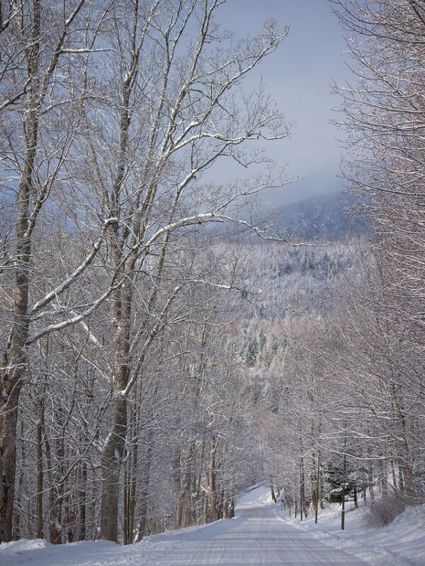 Grand Hotel Praha, Tatras. Image © Mike Richards/PlanetSKI